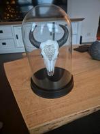 Schedel, accessoires, Ophalen of Verzenden, Zo goed als nieuw