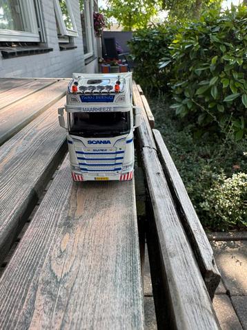 Cavallino 1:50 Twan Bierings beschikbaar voor biedingen