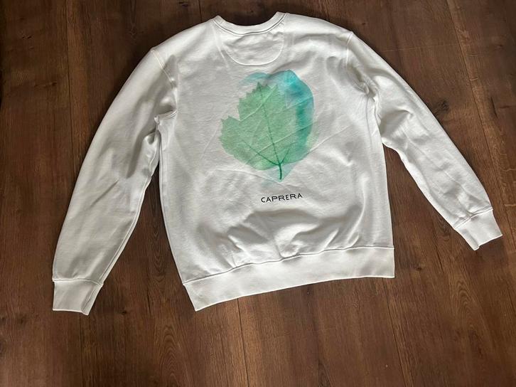 Sweater wit Caprera, Kleding | Dames, Truien en Vesten, Zo goed als nieuw, Maat 38/40 (M), Wit, Ophalen of Verzenden