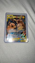 Raichu & Alolan Raichu Gx, Ophalen of Verzenden, Nieuw, Losse kaart