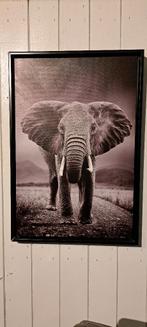 Foto schilderij Olifant €15, Huis en Inrichting, Ophalen, Minder dan 50 cm, Gebruikt, 50 tot 75 cm