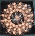 Vintage kerstkrans 49 kaarsjes, Ophalen of Verzenden, Onbekend, Onbekend, Onbekend