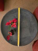 Mooi stenen/aardewerk presentatiebord - ca 40cm, Ophalen, Gebruikt, Schaal, Rond