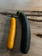 Courgette, Tuin en Terras, Planten | Tuinplanten, Ophalen, Zomer, Volle zon