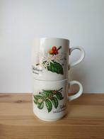 2 vintage koffiekopjes mokkenbotanisch print villeroy & boch, Ophalen of Verzenden, Zo goed als nieuw, Overige stijlen, Kop(pen) en/of Schotel(s)