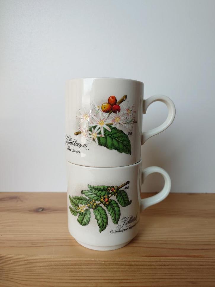 2 vintage koffiekopjes mokkenbotanisch print villeroy & boch, Huis en Inrichting, Keuken | Servies, Zo goed als nieuw, Kop(pen) en/of Schotel(s)