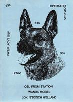 Den Bosch QSL kaart, Ophalen of Verzenden, 1980 tot heden, Ongelopen, Overige thema's