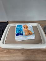 Puppy toilet zindelijkheid trainer, Dieren en Toebehoren, Ophalen of Verzenden, Zo goed als nieuw
