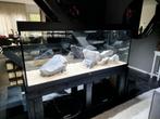 Juwel 450 Led verlichting, Dieren en Toebehoren, Ophalen of Verzenden, Zo goed als nieuw, Verlichting of Verwarming