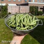 Biologische sperziebonen 500gram, Ophalen, Groenteplanten