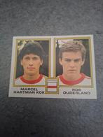 Panini Voetbal 81. Hartman Kok/Ouderland FC Amsterdam., Verzenden, Zo goed als nieuw, Sticker