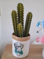 Cactus kunst in pot, Huis en Inrichting, Ophalen of Verzenden, Minder dan 100 cm, Volle zon, In pot
