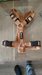 Honden y tuigje petlando maat xs, Ophalen of Verzenden, Nieuw