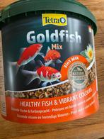 Goldfish mix, Dieren en Toebehoren, Ophalen of Verzenden