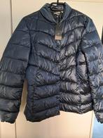 Esmera gewatteerde jas - Maat M - Blauw, Kleding | Dames, Maat 38/40 (M), Blauw, Nieuw, Ophalen of Verzenden