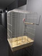 Mooie vogel kooi, Ophalen, Zo goed als nieuw, Metaal, Vogelkooi