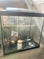 Aquarium superfish 25 liter incl. accessoires, Ophalen, Zo goed als nieuw, Leeg aquarium
