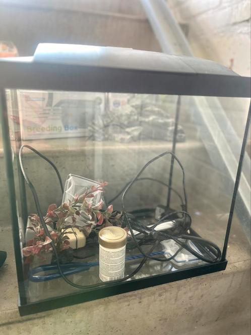 Aquarium superfish 25 liter incl. accessoires, Dieren en Toebehoren, Vissen | Aquaria en Toebehoren, Zo goed als nieuw, Leeg aquarium