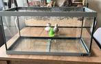 Hamsterkooi Feraplast, Kooi, Gebruikt, Minder dan 75 cm, Hamster