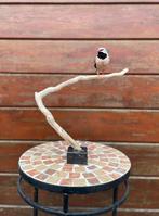 Opgezette  Spitsstaartamadine - taxidermie- vogel, Ophalen of Verzenden, Zo goed als nieuw