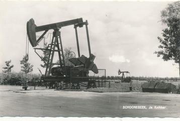  1199  Schoonebeek JA Knikker beschikbaar voor biedingen