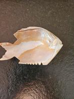 Kaviaar bakje van parelmoer, Ophalen of Verzenden, Zo goed als nieuw, Rvs of Chroom