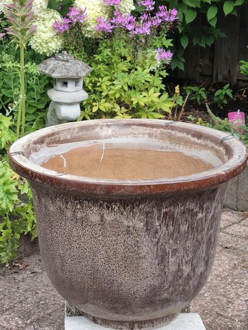 GROTE   PLANTENBAK 50 CM, Tuin en Terras, Bloembakken en Plantenbakken, Gebruikt, Steen, Balkon, Tuin, 30 tot 60 cm, Minder dan 60 cm