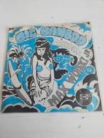 Max Woiski jr , big bamboo, Ophalen of Verzenden, Zo goed als nieuw, Pop