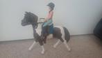 Schleich paard en ruiter, Verzamelen, Dierenverzamelingen, Ophalen of Verzenden, Zo goed als nieuw, Paard, Beeldje of Figuurtje