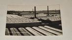 Bleiswijk fotokaart warmoeziersbedrijven, Ophalen of Verzenden, 1920 tot 1940