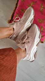 Steve Madden Sneakers Zalmroze Maat 41, Kleding | Dames, Schoenen, Steve Madden, Ophalen of Verzenden, Roze, Sneakers of Gympen