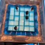Penguins on Ice - Smart Games, Een of twee spelers, Ophalen of Verzenden, Zo goed als nieuw, Reisspel