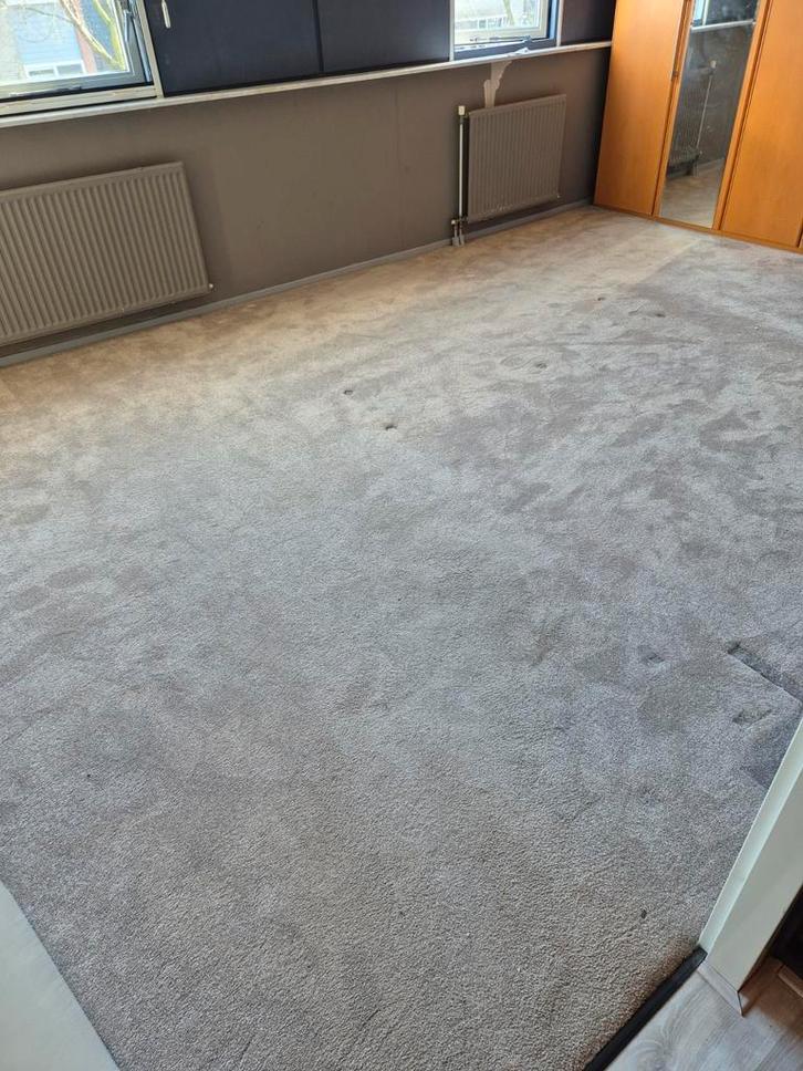 Gratis afhalen Superzacht Tapijt voor Slaapkamer, Huis en Inrichting, Stoffering | Vloerbedekking, Gebruikt, Tapijt, Crème, 10 tot 25 m²