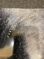 Coburger Glaspreis  glasbewerking, tentoonstellingscatalogus, Ophalen of Verzenden, Zo goed als nieuw, Overige onderwerpen