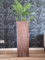 Zuil plantenbak van hout, Huis en Inrichting, Woonaccessoires | Zuilen en Pilaren, Ophalen, Gebruikt