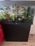 Juwel Rio 125, Dieren en Toebehoren, Vissen | Aquaria en Toebehoren, Ophalen, Gebruikt, Leeg aquarium