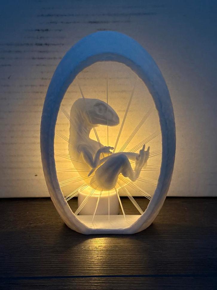 Raptor Dino Embryo Lamp / Display, Huis en Inrichting, Woonaccessoires | Wanddecoraties, Nieuw, Ophalen of Verzenden