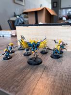 Warhammer war cry corvus cabal set, Hobby en Vrije tijd, Wargaming, Ophalen of Verzenden, Zo goed als nieuw, Warhammer, Figuurtje(s)