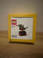 Lego 6432433 Dragon Adventure Ride NIEUW, Ophalen of Verzenden, Nieuw, Complete set, Lego