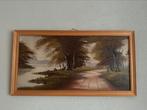 Bospad schilderij 83x44 cm, Ophalen of Verzenden