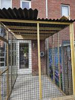 Kattenren Rotterdam | Maatwerk | Duurzame materialen, Dieren en Toebehoren, Katten-accessoires, Ophalen of Verzenden, Nieuw