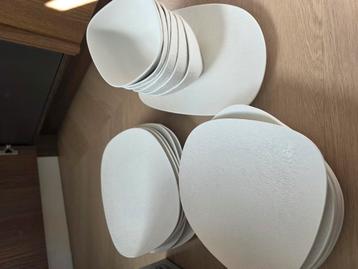 Organische 6 persoons servies set beschikbaar voor biedingen