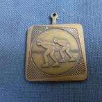 Schaats medaille waarvan ik niet weet welke tocht, Postzegels en Munten, Ophalen of Verzenden, Brons, Nederland