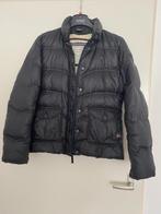 Tommy Hilfiger, Kleding | Dames, Jassen | Winter, Maat 38/40 (M), Zwart, Ophalen of Verzenden, Zo goed als nieuw