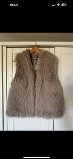 Mooie bont gilet van Moscow - Maat S, Kleding | Dames, Bodywarmers, Ophalen of Verzenden, Zo goed als nieuw, Maat 36 (S), Beige