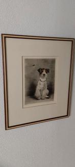 Kurt Meyer Eberhardt ets hond, Ophalen of Verzenden