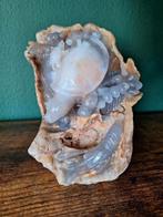 Onderwaterleven blauwe chalcedoon, Verzamelen, Mineralen en Fossielen, Verzenden