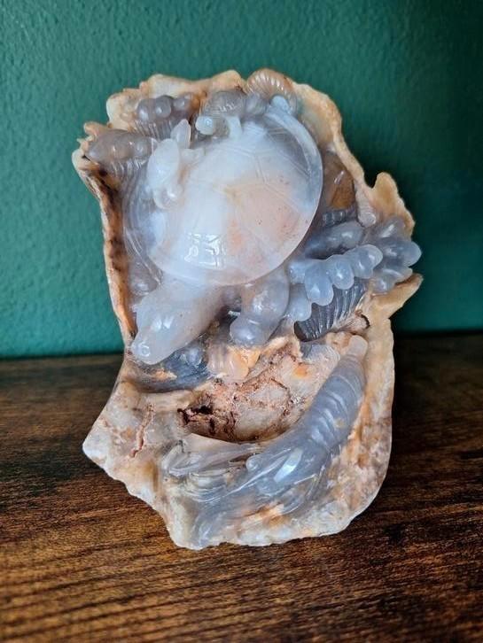 Onderwaterleven blauwe chalcedoon, Verzamelen, Mineralen en Fossielen, Verzenden