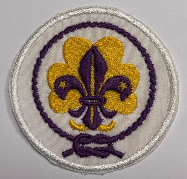 WAGGGS wereldinsigne meisjespadvinderij – paars/geel gr, Verzamelen, Scouting, Nieuw, Embleem, Speld of Insigne, Ophalen of Verzenden