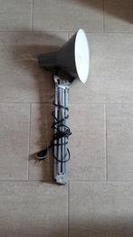 Architectenlamp, kniklamp, klemlamp, Gebruikt, Ophalen of Verzenden, Glas, Minder dan 50 cm